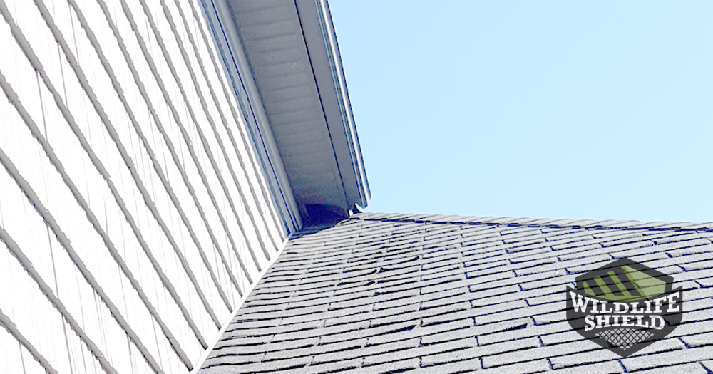 Pont of entry in soffit